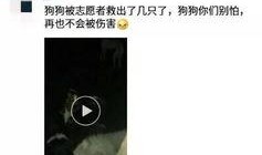 徐州最新爆料视频,现场实况直击